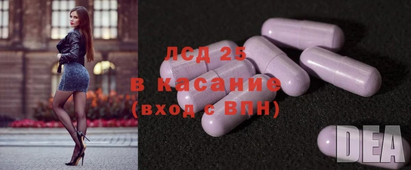 хмурый Абаза