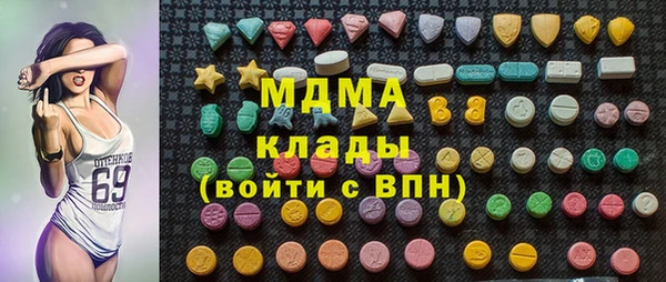 хмурый Абаза