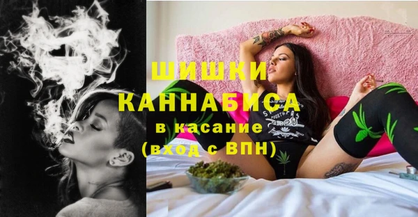 хмурый Абаза
