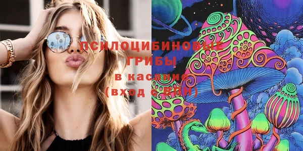 хмурый Абаза