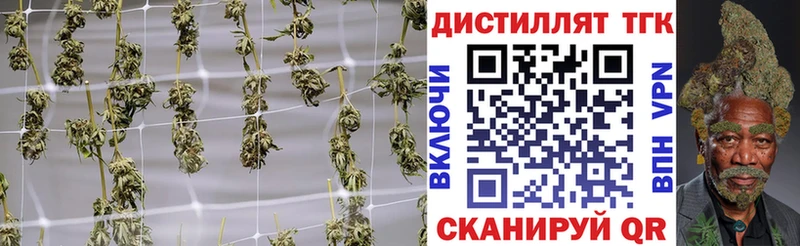 купить наркоту  Западная Двина  Дистиллят ТГК гашишное масло 