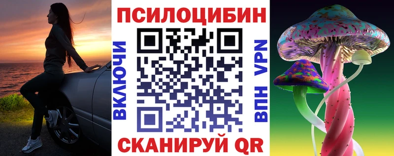 сколько стоит  Западная Двина  Галлюциногенные грибы Psilocybe 